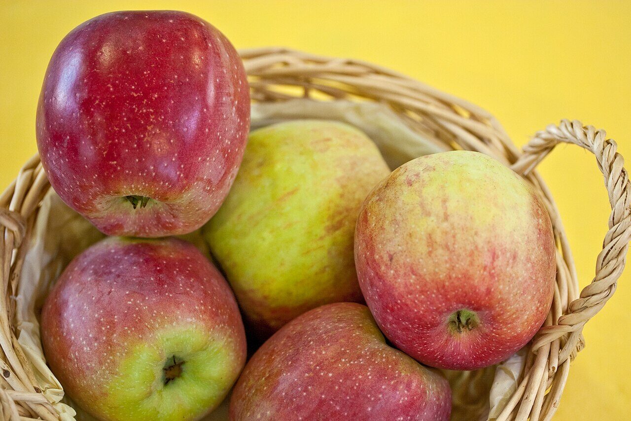 Florina apple