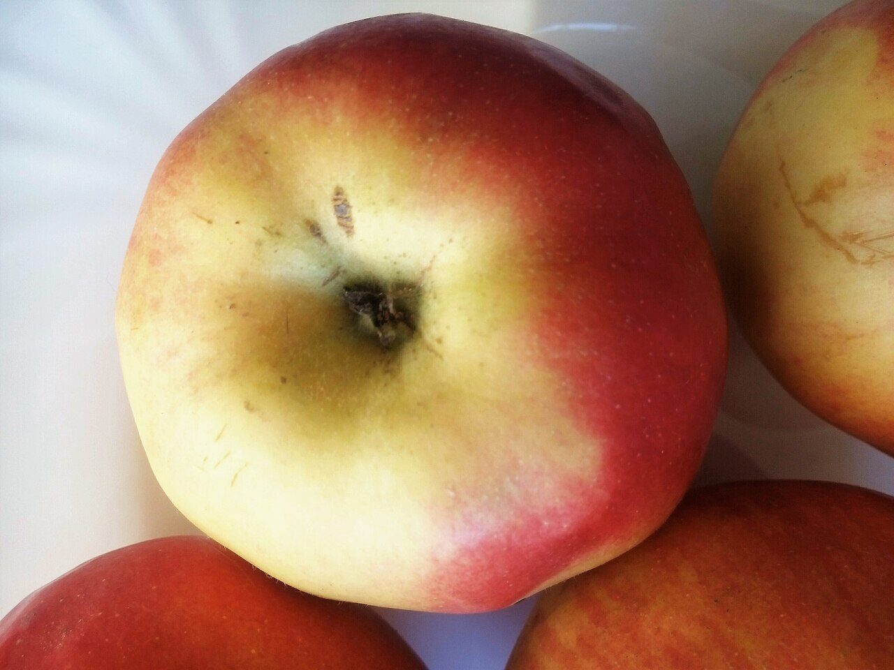 Florina apple