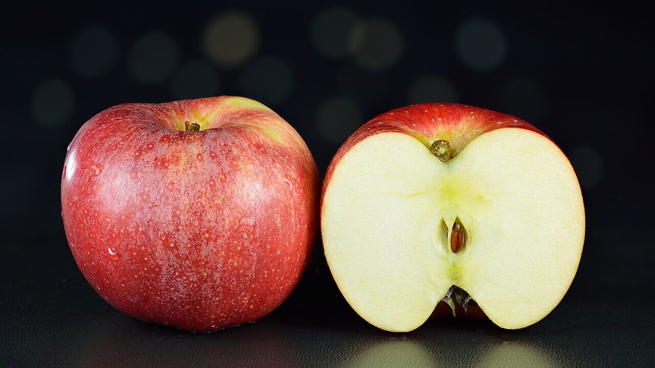 Gala apple