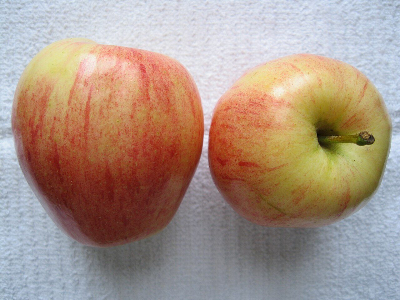 Gala apple