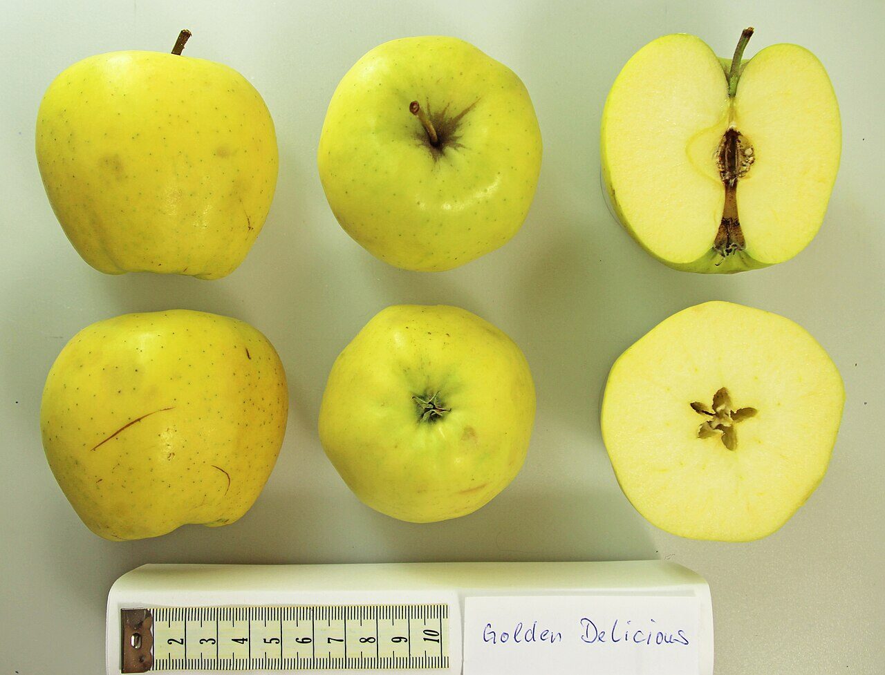 Golden Delicious apple