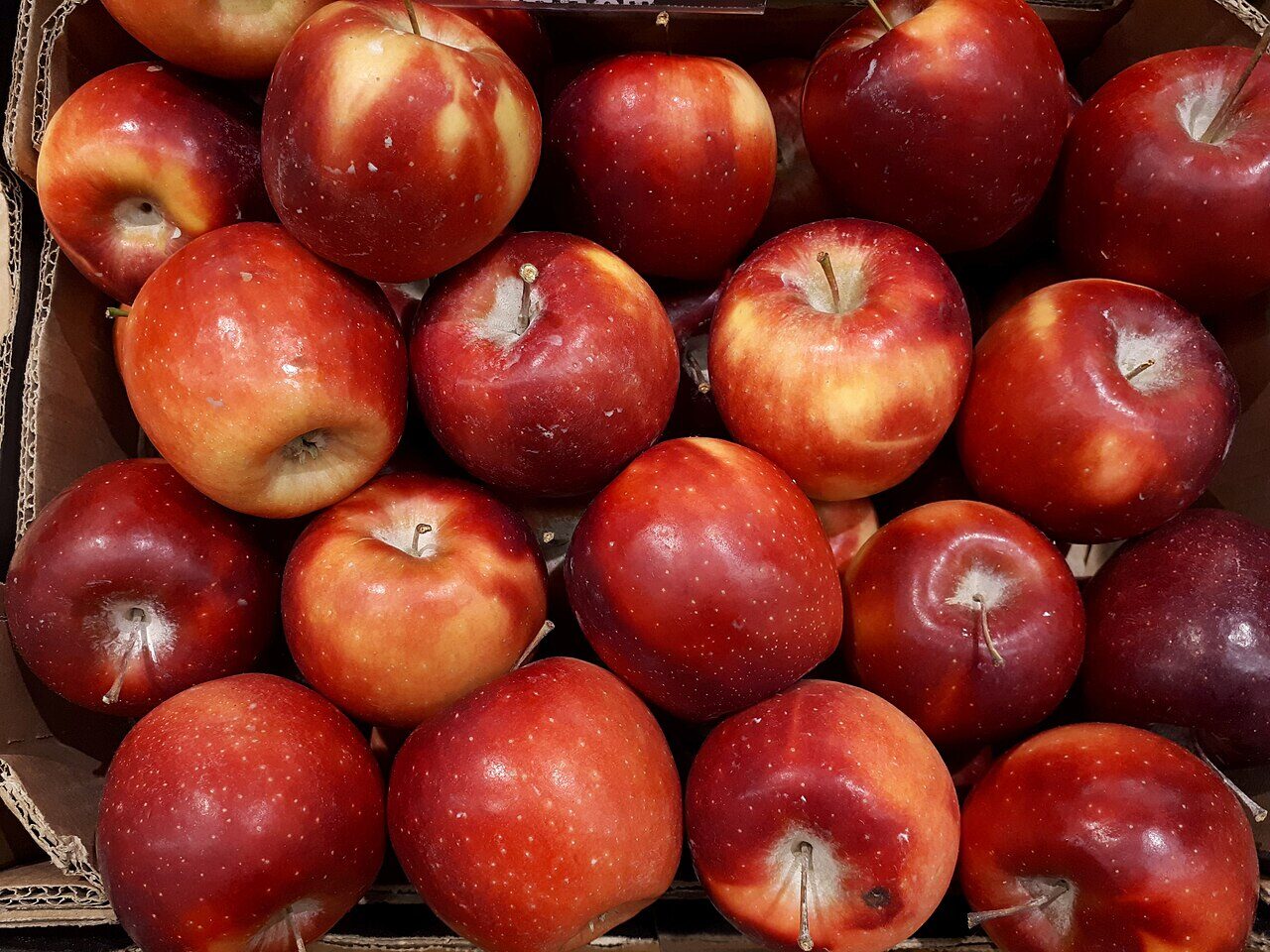 Idared apple