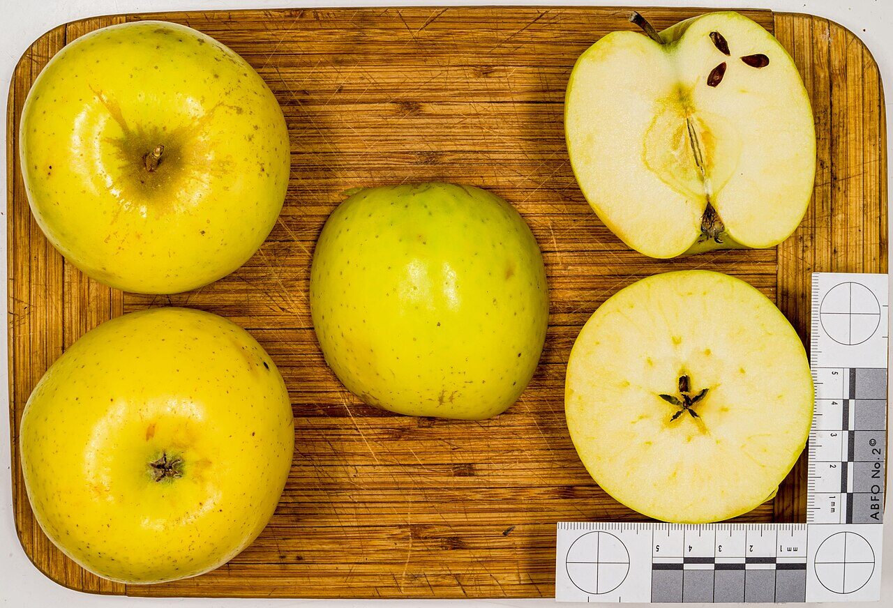 Mutsu apple