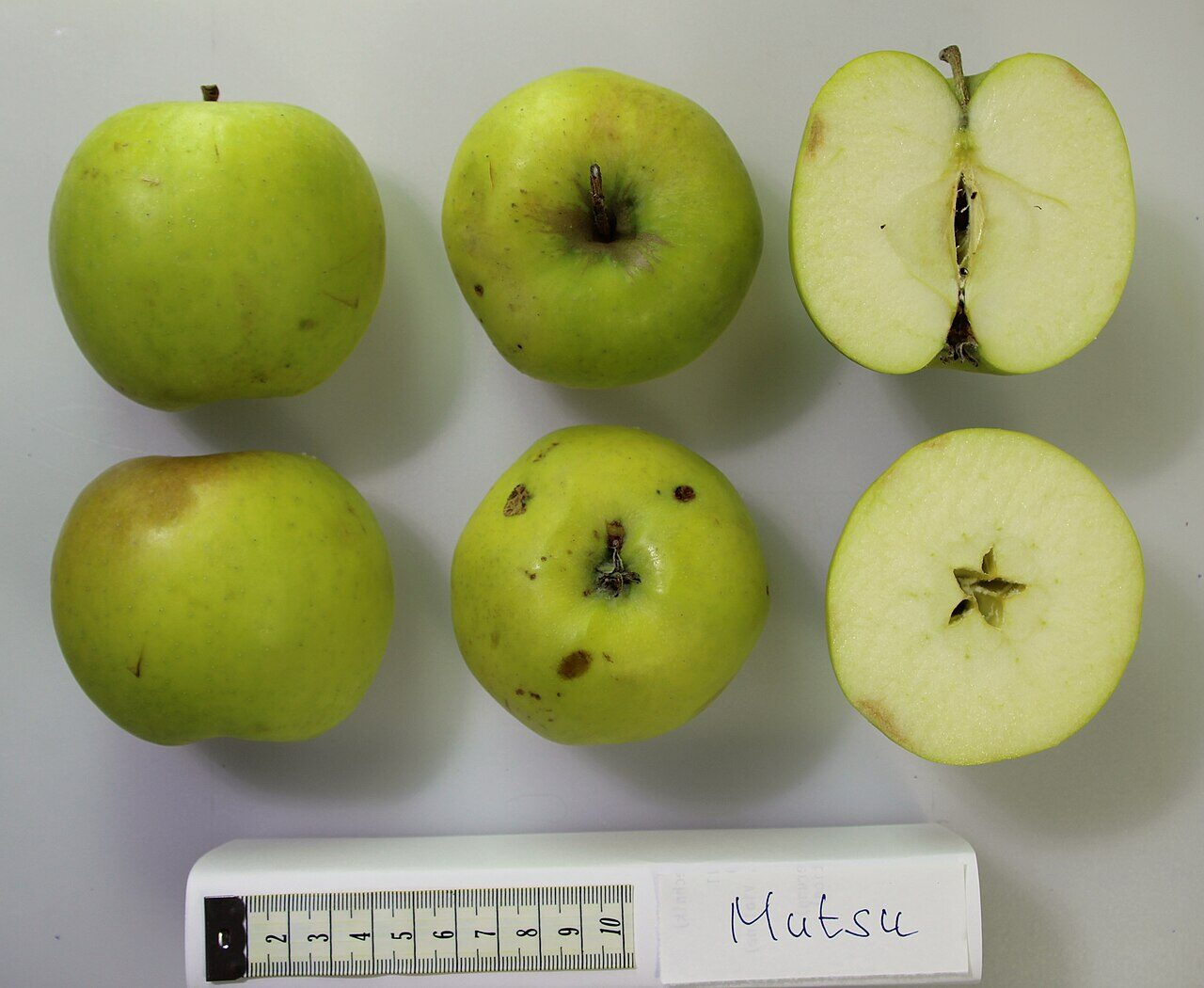 Mutsu apple