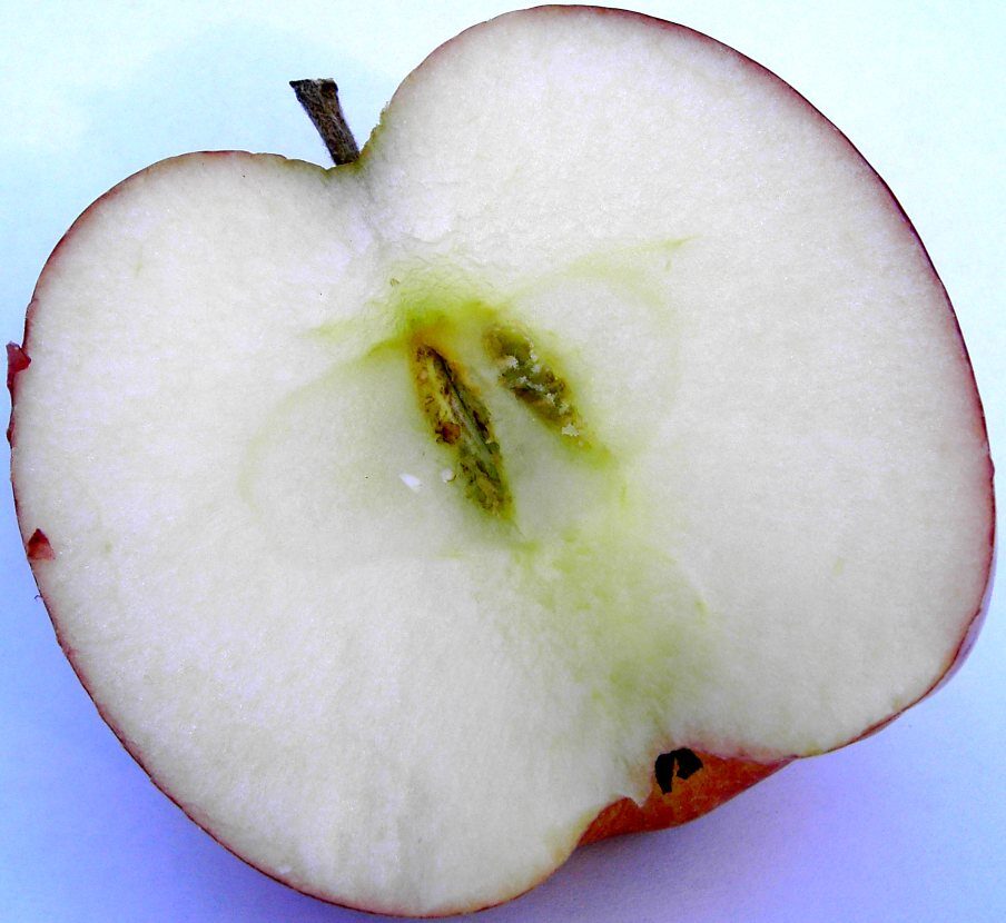 Red Delicious apple