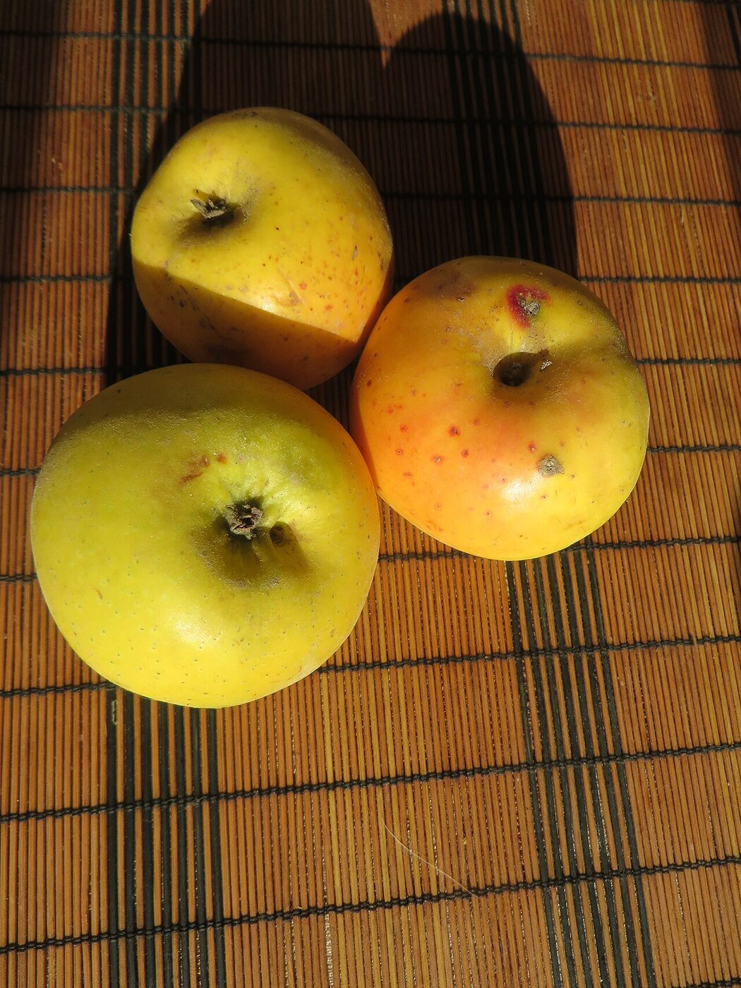 Reinette Simirenko apple